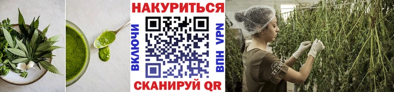 OMG онион  Новотитаровская  Печенье с ТГК марихуана 