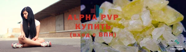 дмт Абаза