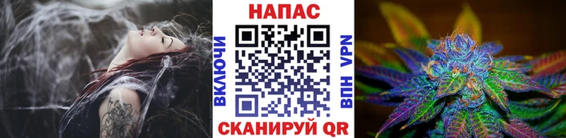 Бошки Шишки сатива  Новотитаровская 